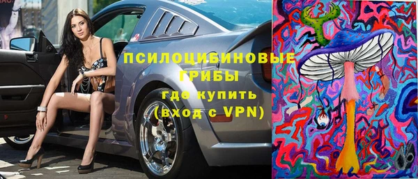 крисы Заводоуковск