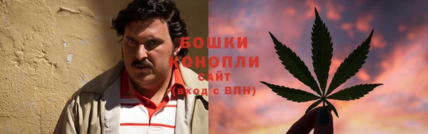 крисы Заводоуковск