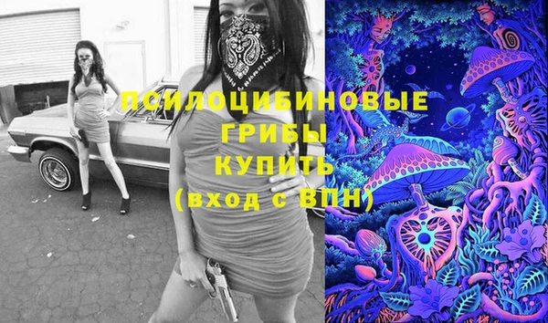 крисы Заводоуковск