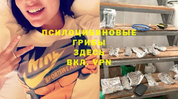 альфа пвп Заволжск