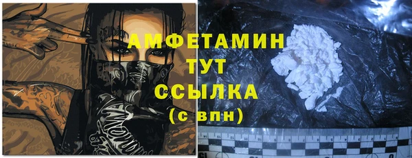 крисы Заводоуковск