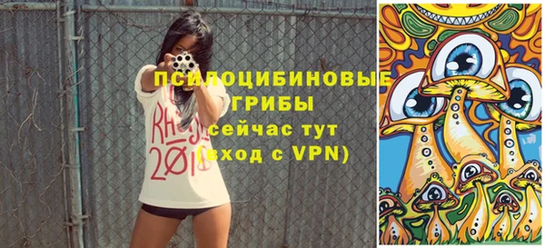 крисы Заводоуковск