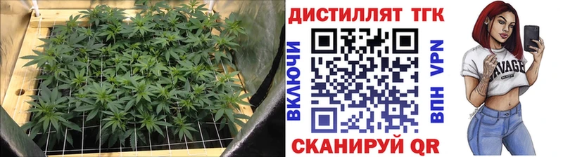 Дистиллят ТГК Wax  Купить где  Пионерский 
