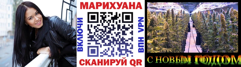 Каннабис Amnesia  Купить  Пионерский 